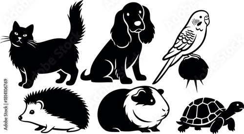 Black silhouette cat dog bird hedgehog guinea pig turtle vector illustration