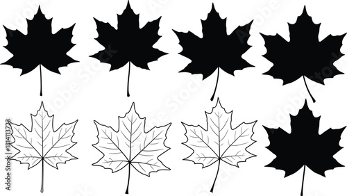 Maple Leaf Vector Silhouette and Outline Set, Simple Detailed Black and White Hand Drawn Design, Iconic Canadian Symbol for Autumn, Nature, and Holiday Graphics