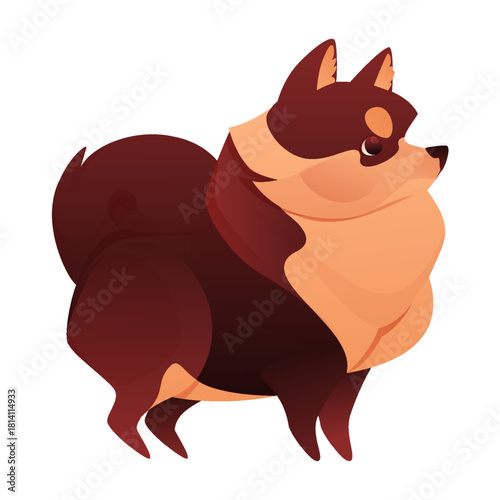 Cartoon pet. Cute lapdog. Fluffy fur dog. Adorable small longhaired puppy side view. Domestic animal adoption. Standing doggy mammal. Purebred pedigree. Vet grooming. Isolated canine vector character