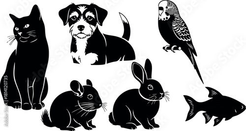 Silhouette cat dog bird mouse rabbit fish black animal shapes vector illustration