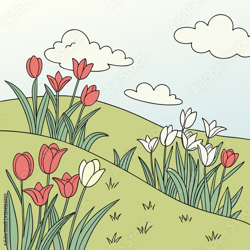 Illustration of red and white tulips blooming on a grassy spring hillside