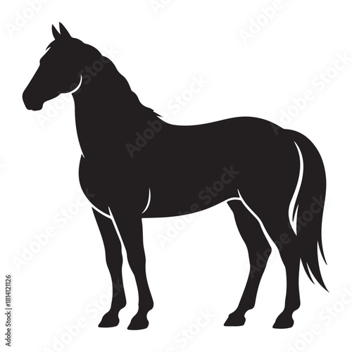 Horse Vector