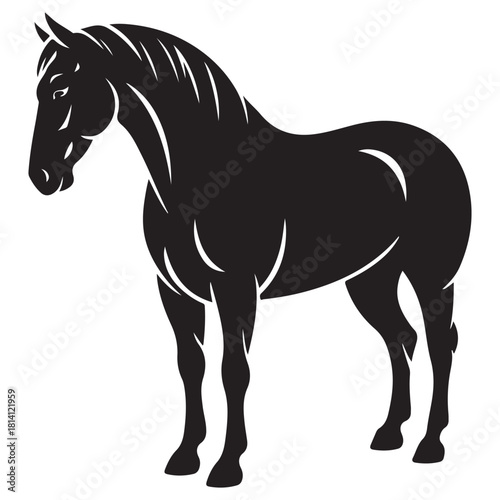 Horse Vector