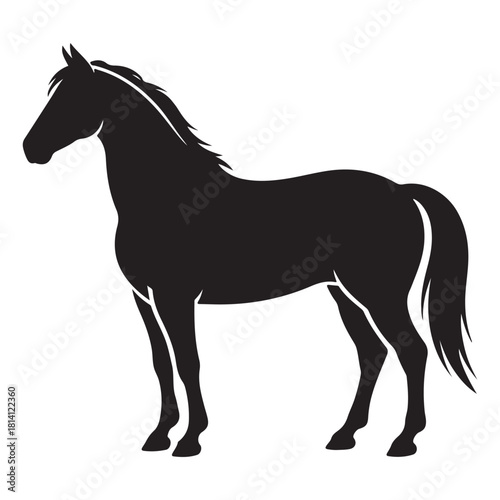 Horse Vector