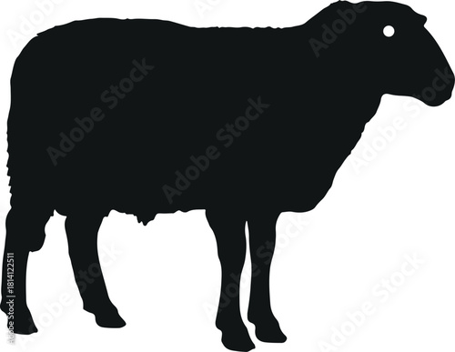 Sheep vector silhouette vector