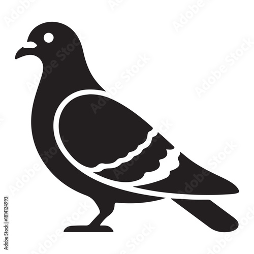 Pigeon Vector 