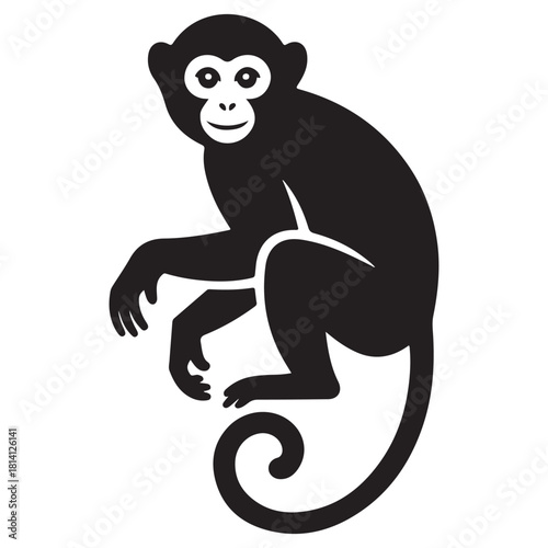 Monkey Vector 