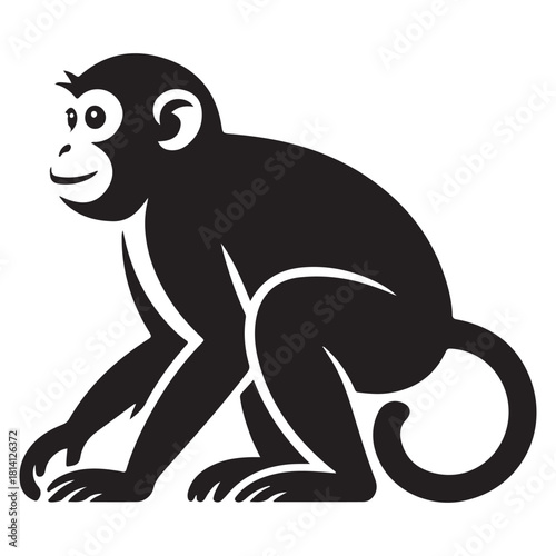 Monkey Vector 