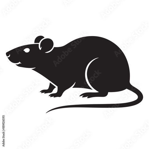 Rat Vector 