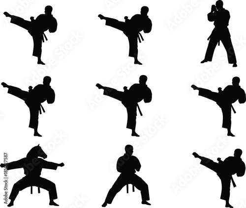 Martial arts silhouette vector showing dynamic kicks and stances on curved path, ideal for training, discipline, sports, and action themes