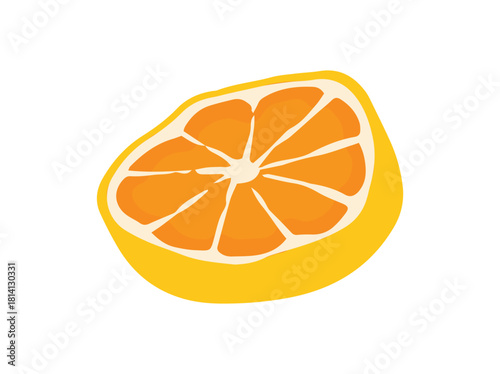 Orange Fruit Cut