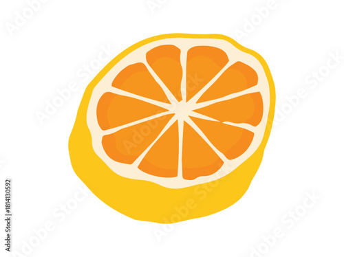Orange Fruit Cut