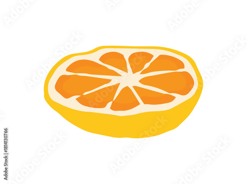 Orange Fruit Cut