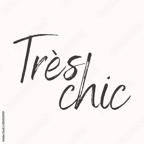 Elegant brush-style typography featuring the French phrase “Très Chic.” (very chic) Minimal and fashionable handwritten lettering perfect for modern posters, branding, apparel, and lifestyle designs.
