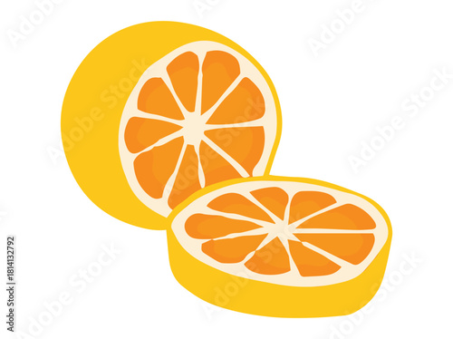 Orange Fruit Illustration
