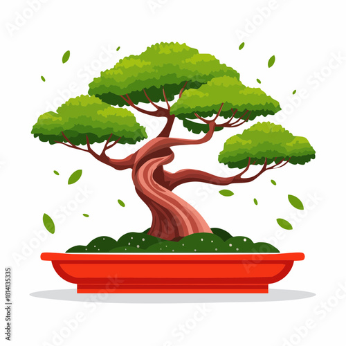 Joli bonsaï coloré, isolé sur fond blanc