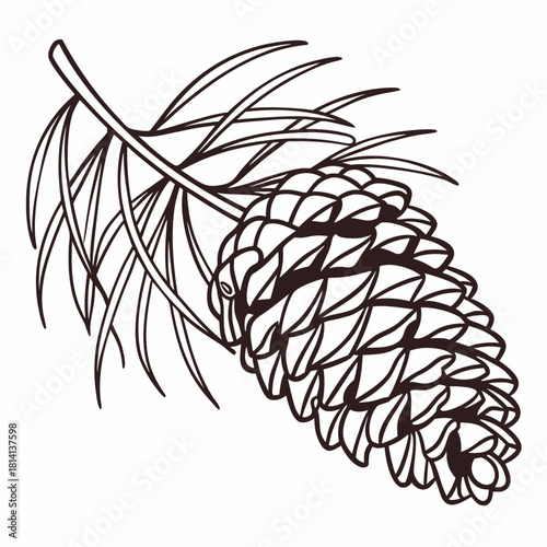 Black and white line art drawing of a pine cone with attached needles