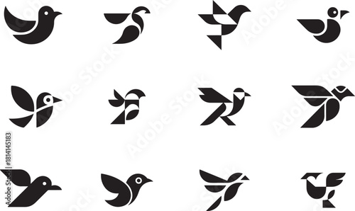 Bird Icons Set, 12 Vector Designs for Apps, UI, Logos & Creative Projects, Collection of Bird Icons – Scalable Vector for Developers, Designers & Marketers.