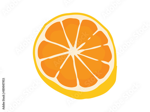 Orange Fruit Slice