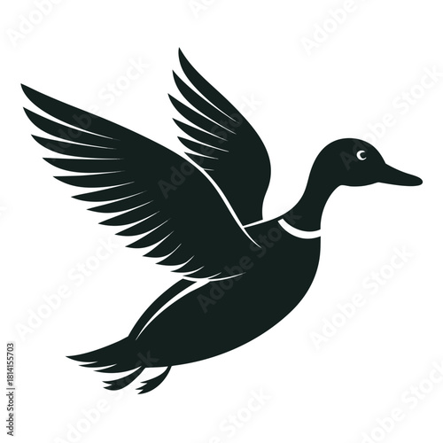 Stylized silhouette of a mallard duck in flight, wings spread wide, a classic symbol of nature and freedom, isolated graphic. isolated on white background, Vector, illustration