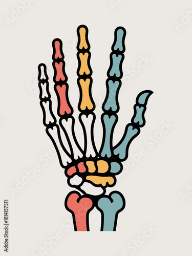 Colorful Skeletal Hand Illustration Medical Anatomy Artistic Bone Structure Human Hand Bones Decorative Modern Print