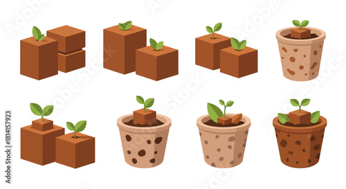 Seedling cubes and pots with growing plants, gardening concept.