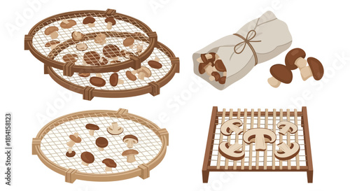 Set of illustrations showing traditional methods for drying mushrooms.