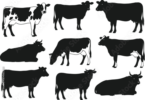 Cow silhouette vector set featuring various poses, orientations, and patterns for agricultural, educational, and animal identification design purposes