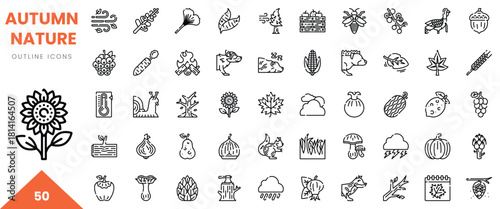 Set of autumn nature outline icons featuring leaves, fruits, and wildlife.
