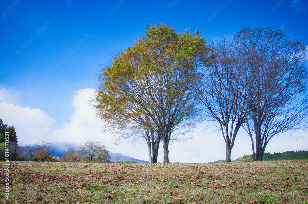 Fototapeta premium 紅葉の始まった美しい木々と日光連山の風景