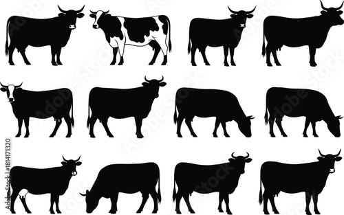 Set of cow silhouettes in various postures and breeds, including grazing, standing, horned cattle, and detailed black-and-white sketch