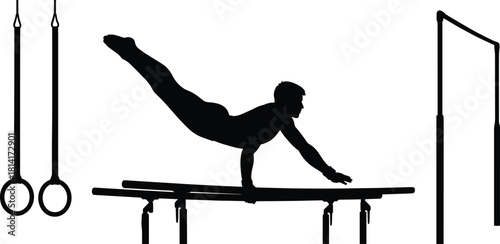 gymnast, athlete, sports, fitness, balance, strength, training, workout, exercise, silhouette, muscle, man, flexibility, gym, performance, male gymnast, gym 