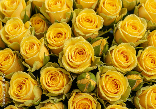 Yellow roses with bright petals and rich floral texture representing joy and friendship