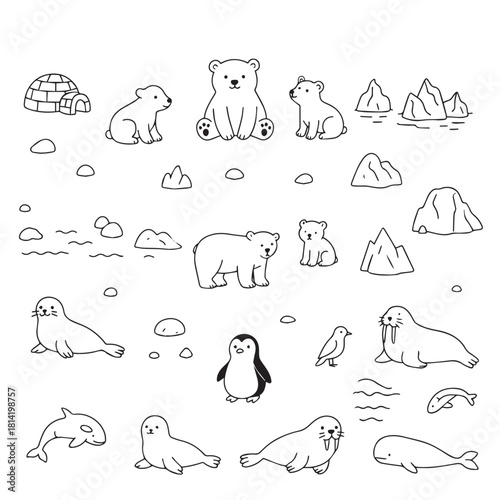 Vector illustration of various arctic animals including polar bears, seals, and penguins in their natural habitat. Simplified characters depicting wildlife and icy landscapes.