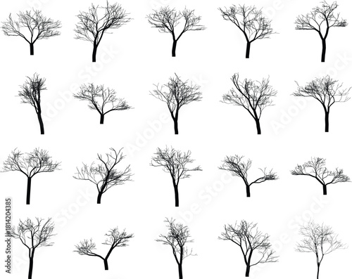 Bare tree silhouettes against white backdrop creating a somber mood