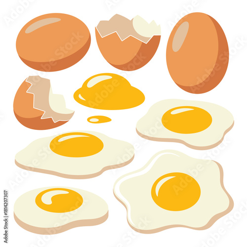 Collection of various cooked and raw eggs on a white background