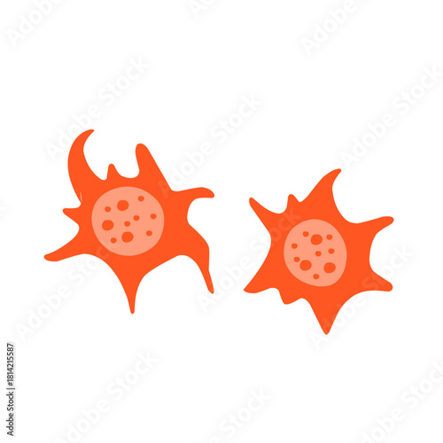 platelet cell vector