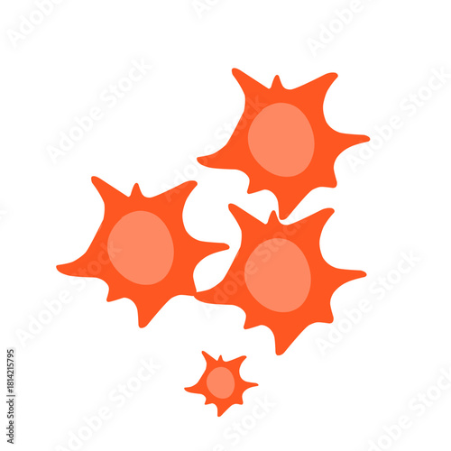 platelet cell vector