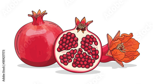 Fresh Pomegranate Fruit Illustration: Healthy, Antioxidant-Rich, Delicious and Vibrant Design