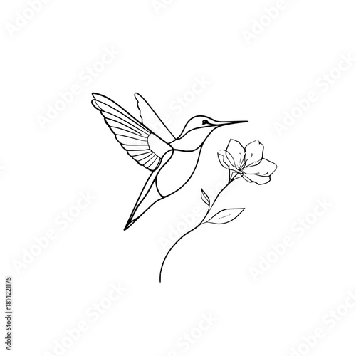 Minimalist line art drawing of a hummingbird flying toward a flower isolated on