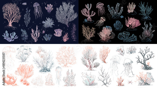 Elegant marine illustration set featuring coral, jellyfish, and ocean plants in soft and dark color variations. Ideal for underwater themed designs, stationery, patterns, and creative projects.