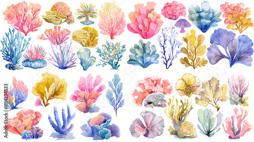 Vibrant watercolor coral collection with colorful tropical marine plants in pink, blue, yellow, and purple shades. Perfect for ocean themed artwork, decorative design, and creative projects.