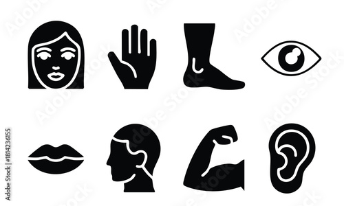 Human Body Parts Icons, Black and White Icons of Human Body Features, vector, illustration