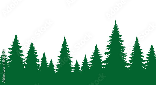 Evergreen forest silhouette illustration with dense, tall pine trees isolated