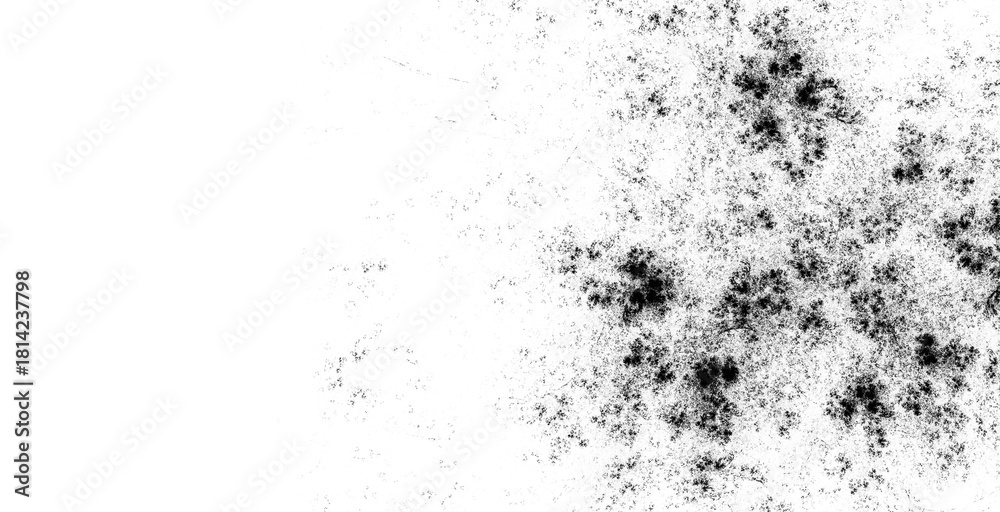 Fototapeta premium Grunge black and white texture dark weathered overlay distress background abstract dotted vector illustration isolated on transparent background isolated on trasparent background