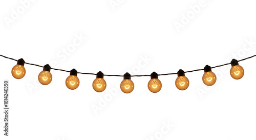 A festive string of warm, glowing lights adds a touch of enchantment and celebration to any event, casting a soft, inviting radiance. vector illustration