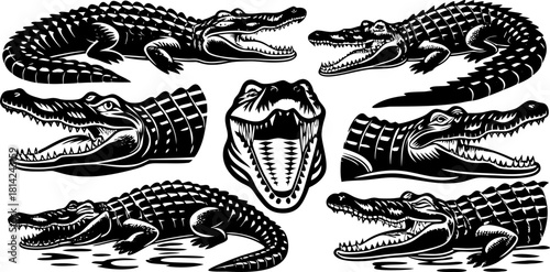 A collection of illustrations featuring various poses of crocodiles. The crocodiles are primarily rendered in shades of green and brown, with detailed scales and open mouths revealing pink interiors. 