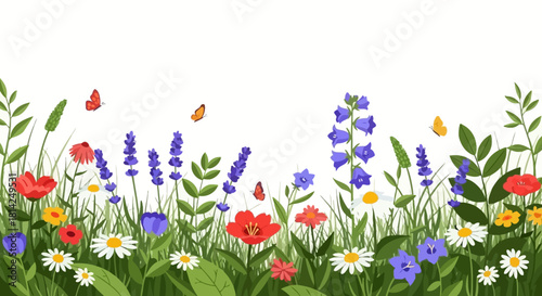 Vibrant illustration of a flourishing wildflower meadow border, showcasing lush green grass and delicate butterflies, ideal for a fresh spring or summer nature design