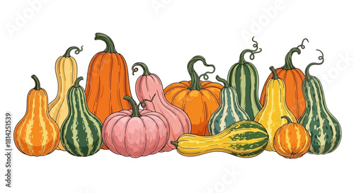 A Diverse Array of Colorful Ornamental Gourds for Autumn Decor