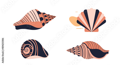 Four stylized seashells with coral and navy blue designs on a white background.